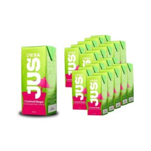 Jesa Cocktail Jus 200mlx24